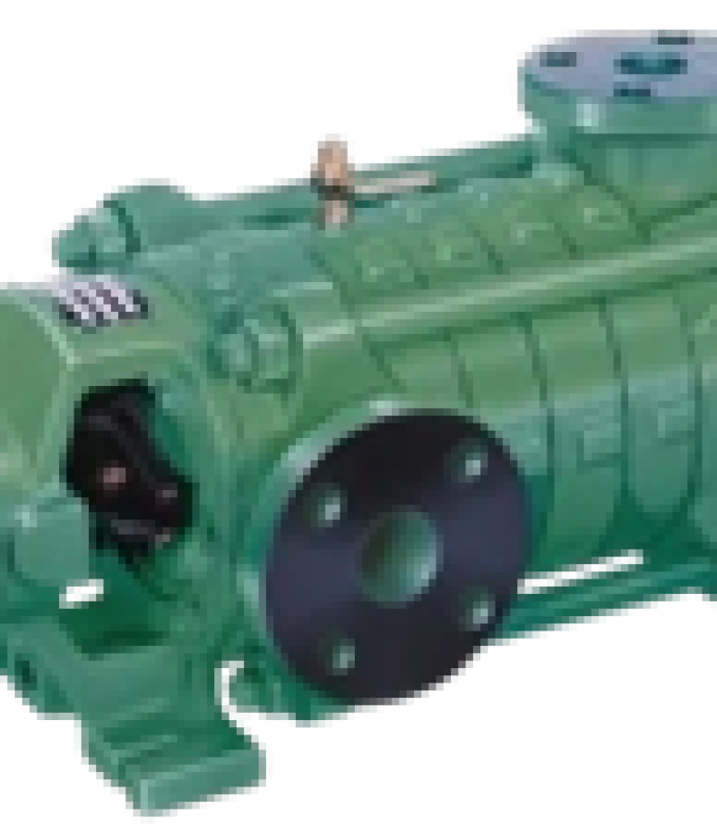 Multistage Ring Section Pump